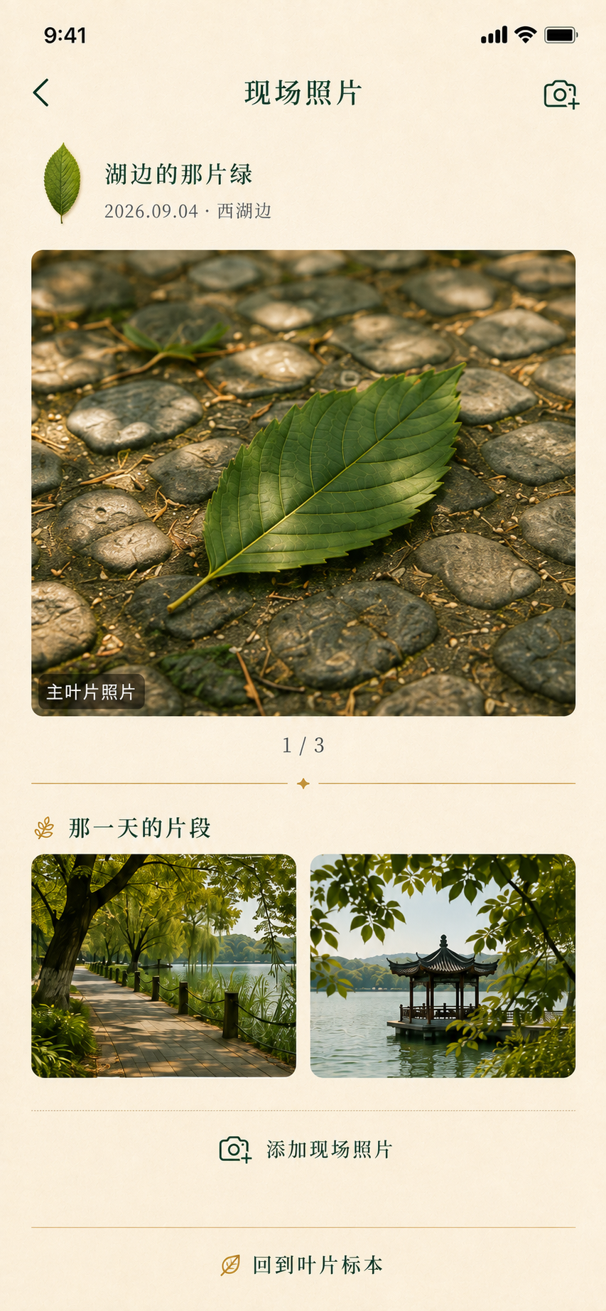 choose_item