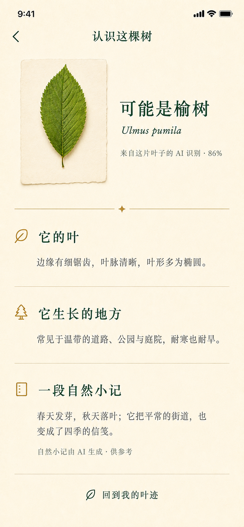 choose_item